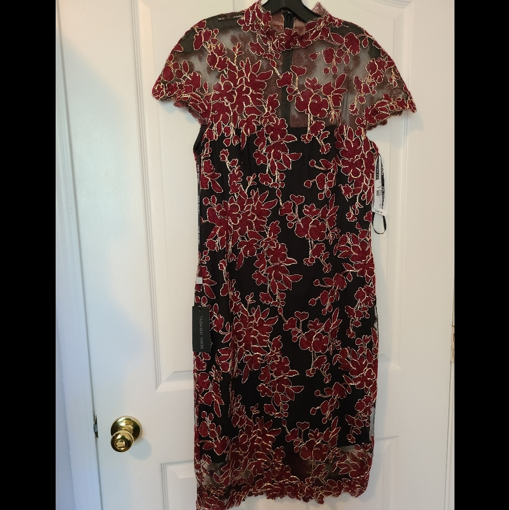 Tadashi Shoji lace Dress